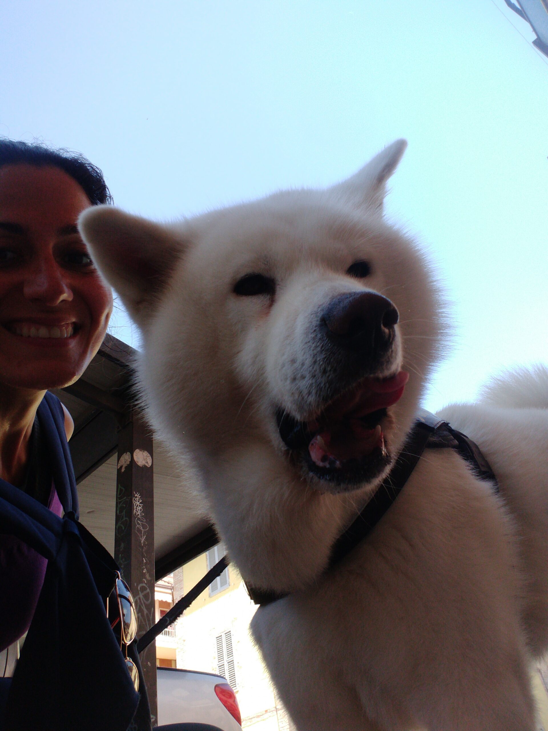 IMG-20220604-WA0020